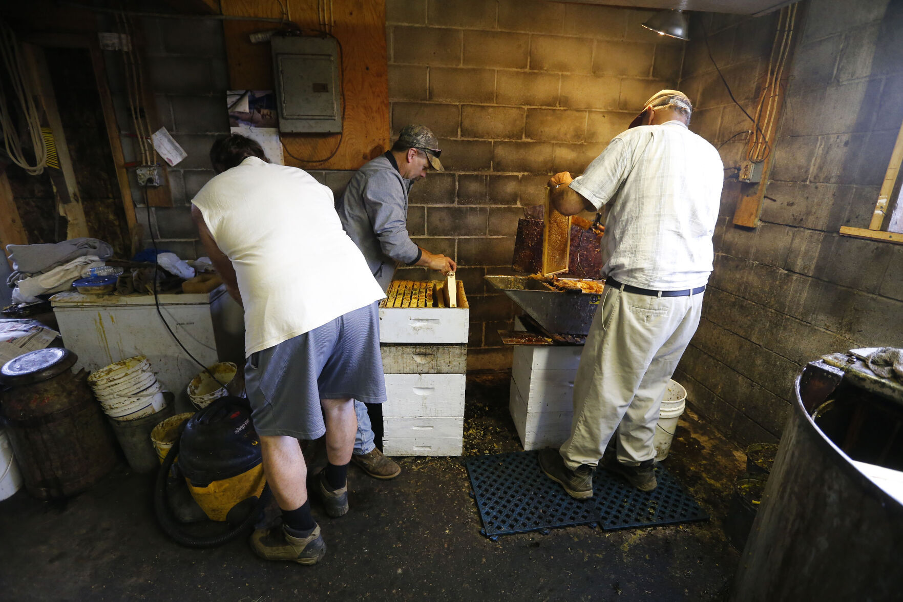 Beekeepers and Audubon